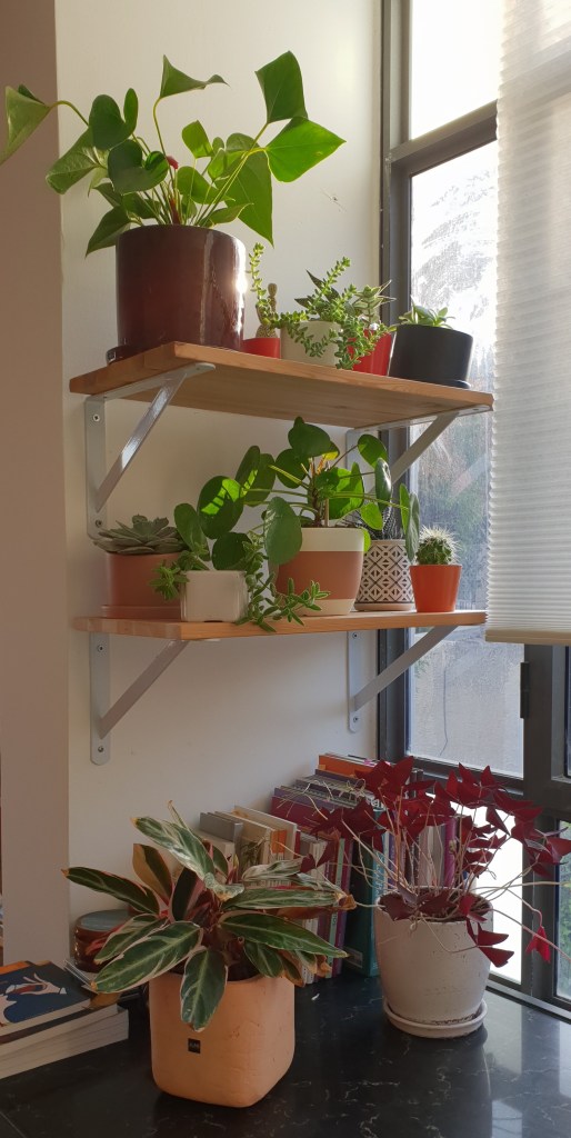 La main verte ou pas.jpg